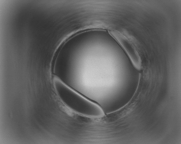 X0000074971230200609081403