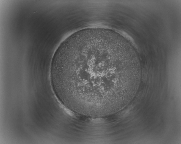 X0000074971231200609081403