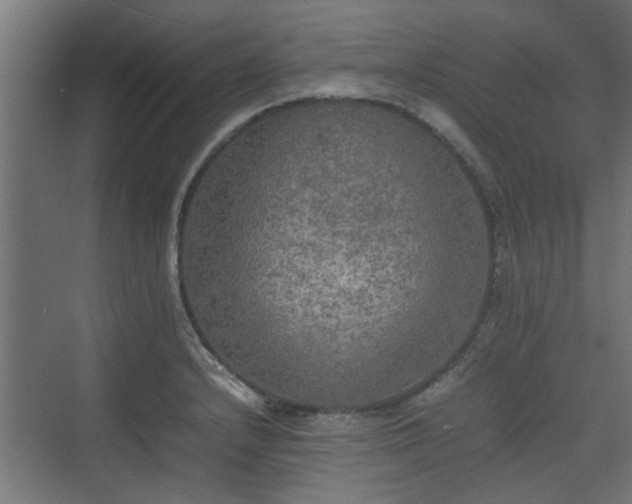 X0000074971232200609081403