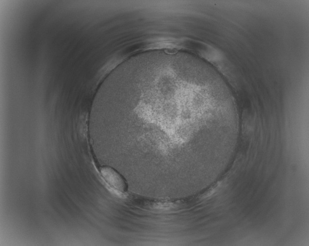 X0000074971233200609081403