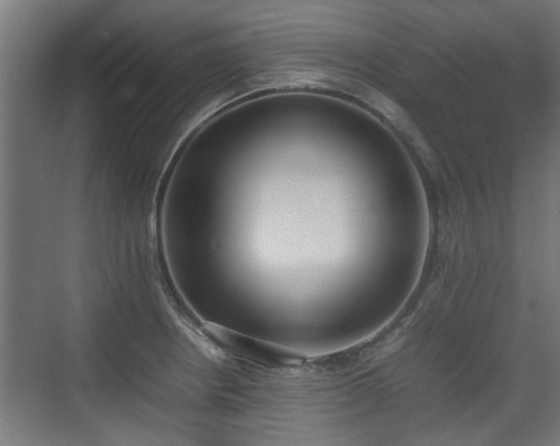 X0000074971234200609081403