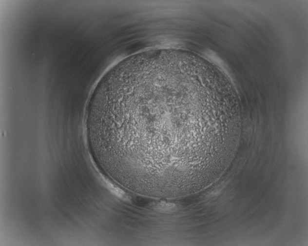 X0000074971235200609081403