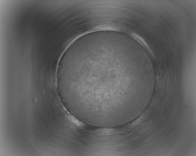 X0000074971236200609081403