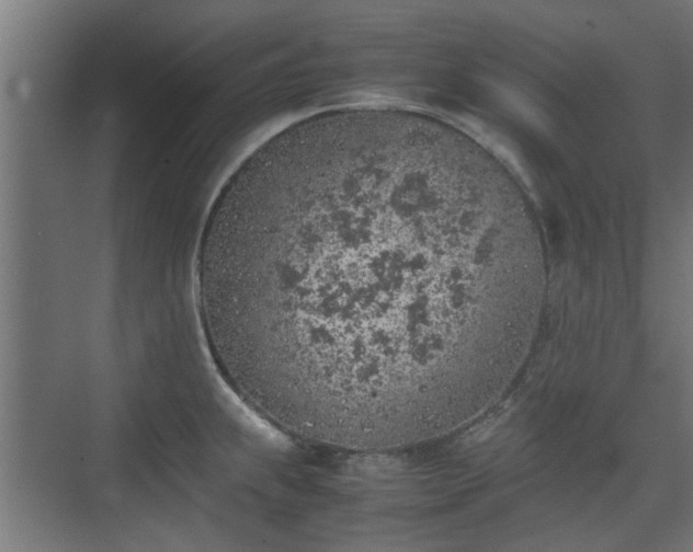 X0000074971239200609081403