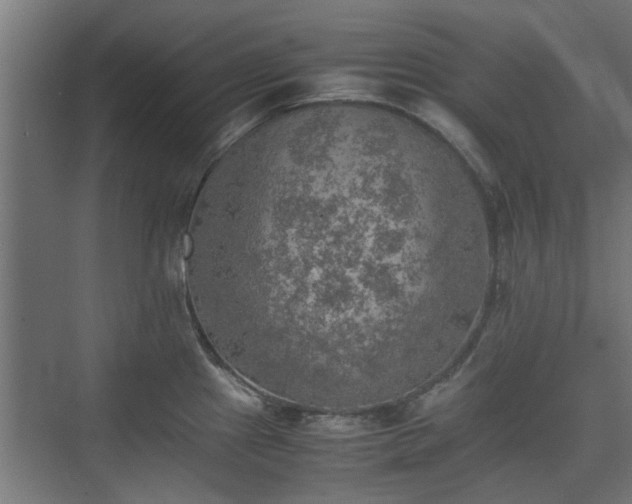 X0000074971241200609081403