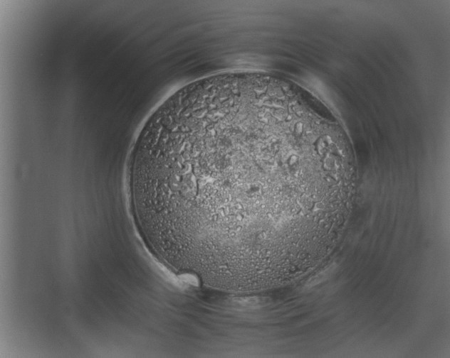 X0000074971243200609081403