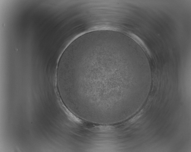 X0000074971244200609081403