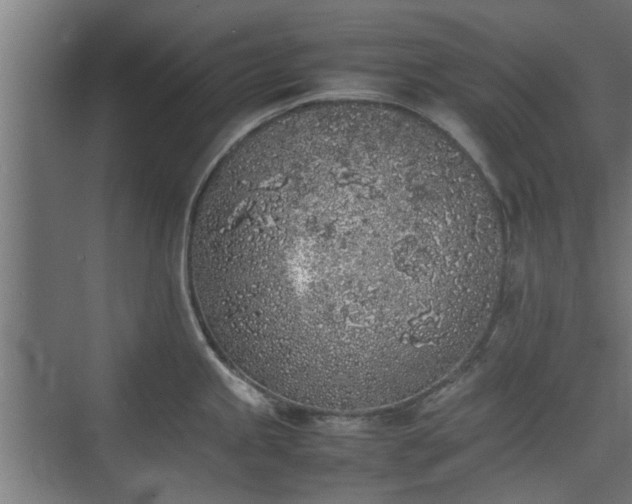 X0000074971245200609081403