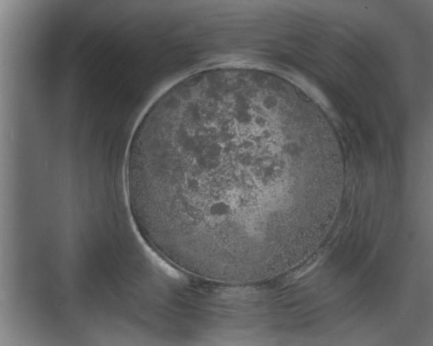 X0000074971247200609081403