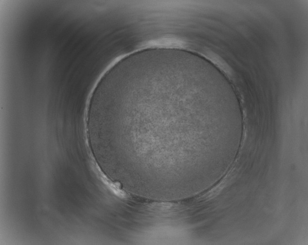 X0000074971248200609081403