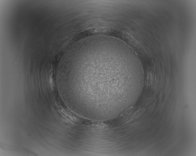 X0000074971250200609081402