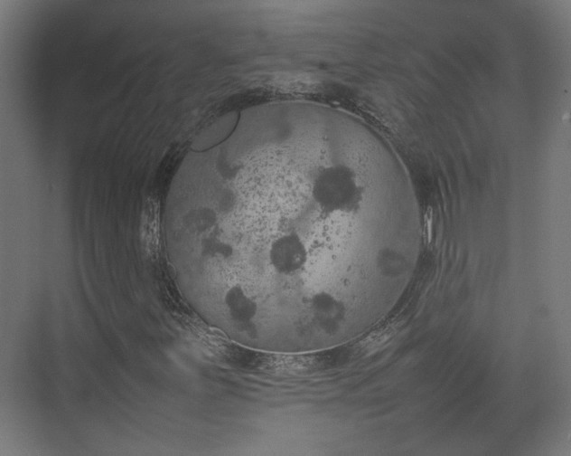 X0000074971251200609081402