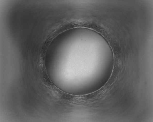 X0000074971253200609081402