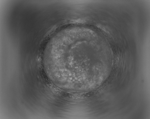 X0000074971254200609081402