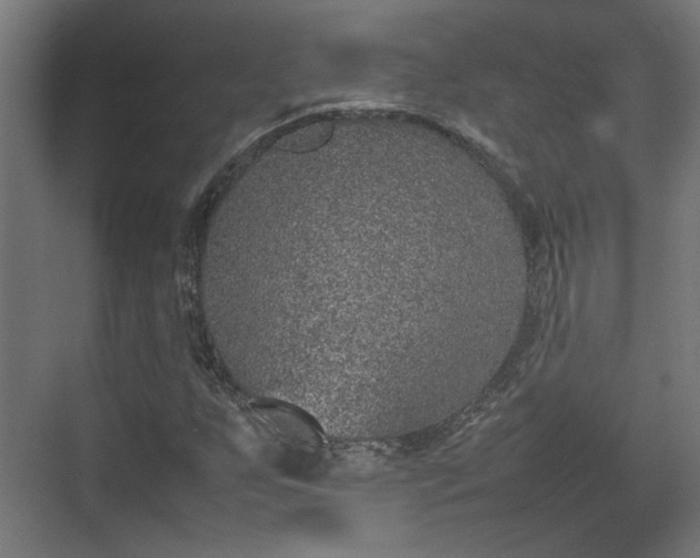 X0000074971255200609081402