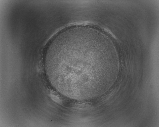 X0000074971256200609081402