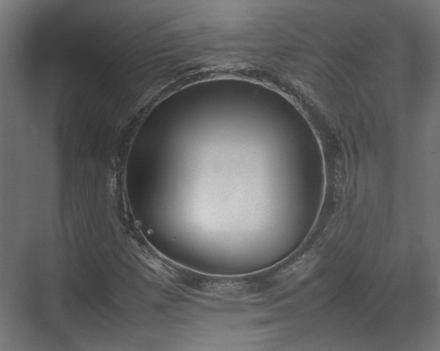 X0000074971257200609081402