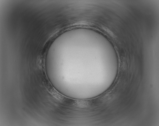 X0000074971258200609081402