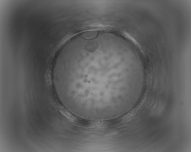 X0000074971259200609081402