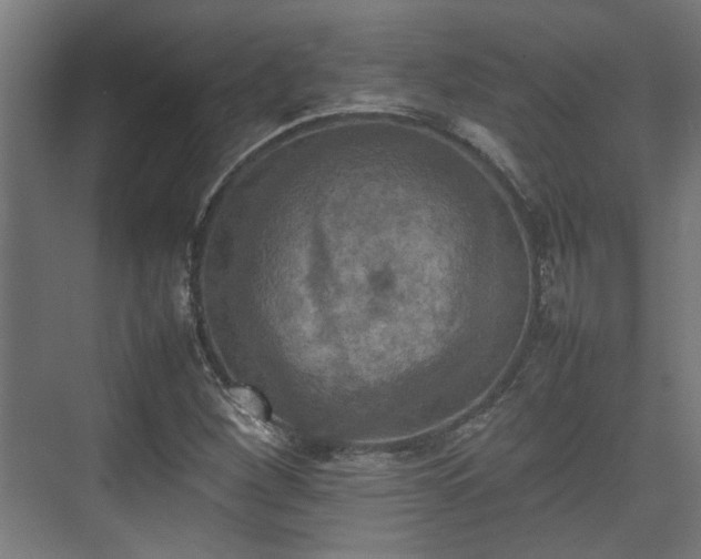 X0000074971260200609081402