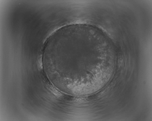 X0000074971262200609081402