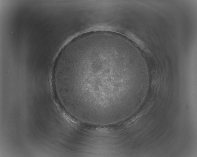 X0000074971264200609081402