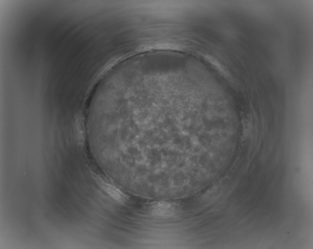 X0000074971266200609081402