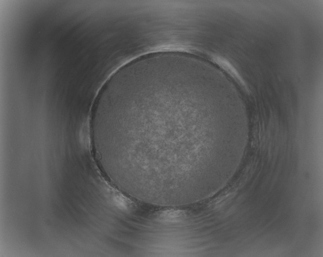 X0000074971268200609081402