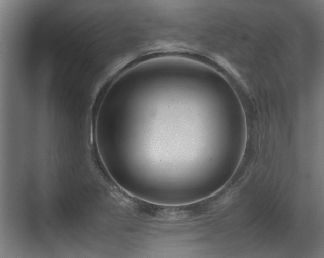 X0000074971269200609081402