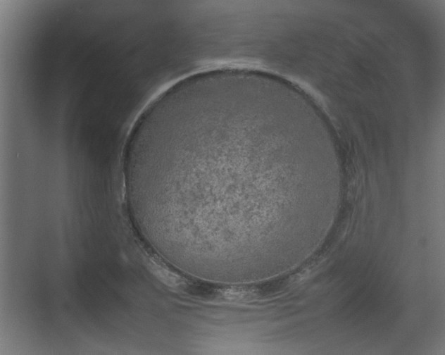 X0000074971271200609081402