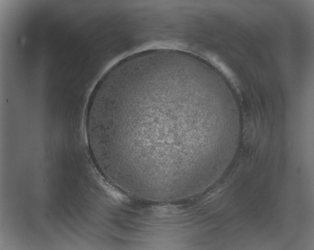 X0000074971272200609081402