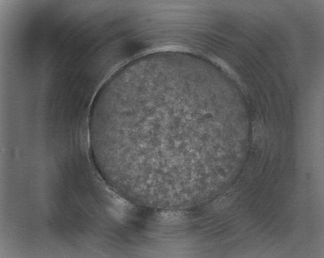 X0000074971274200609081402