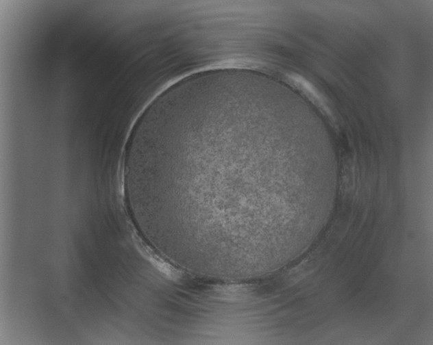 X0000074971276200609081402