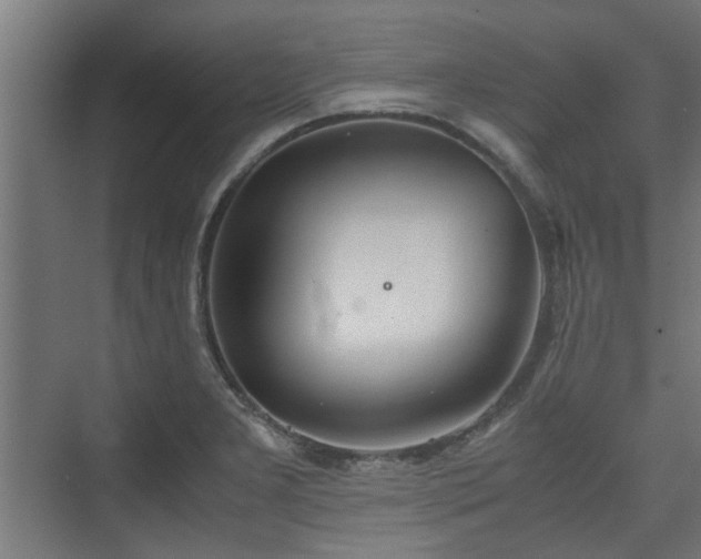 X0000074971277200609081402