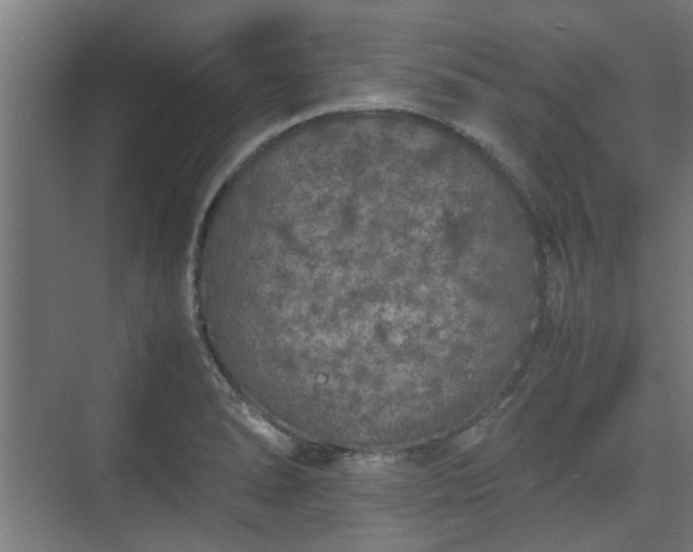 X0000074971278200609081402