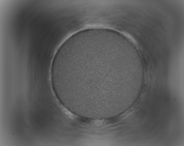 X0000074971279200609081402