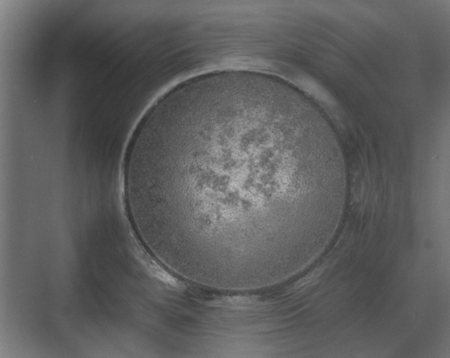 X0000074971280200609081402