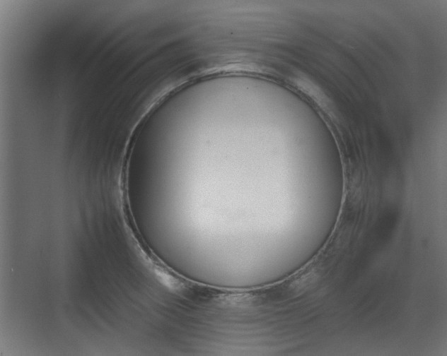 X0000074971282200609081402