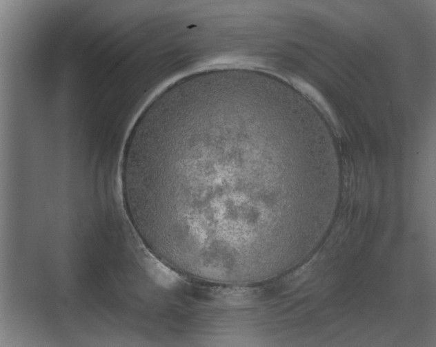 X0000074971288200609081402