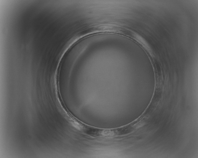 X0000074971291200609081402