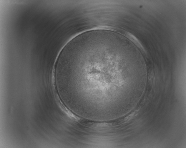 X0000074971292200609081402