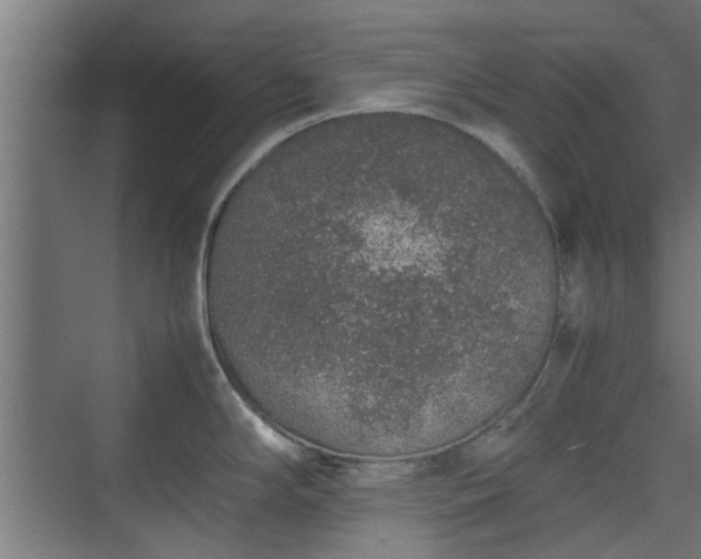 X0000074971294200609081402