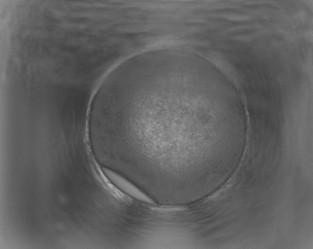 X0000074971296200609081401