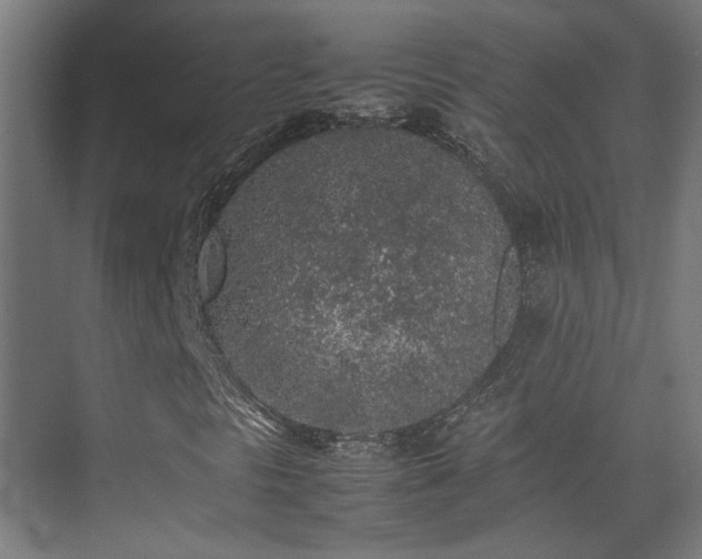 X0000074971297200609081401