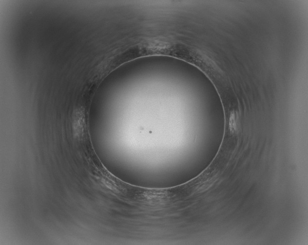 X0000074971299200609081401