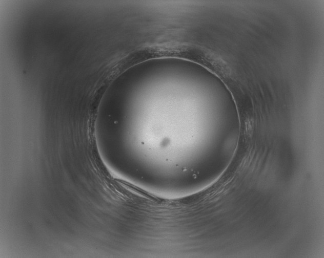 X0000074971300200609081401