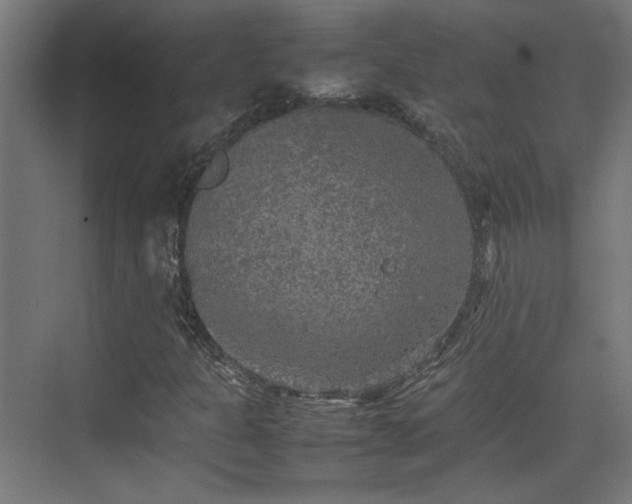 X0000074971301200609081401