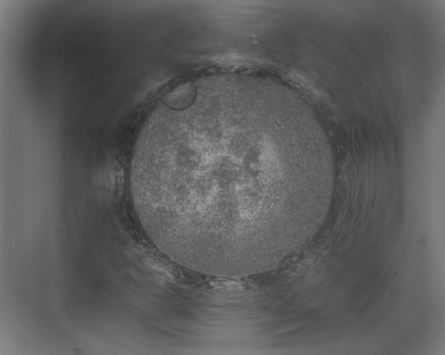 X0000074971302200609081401