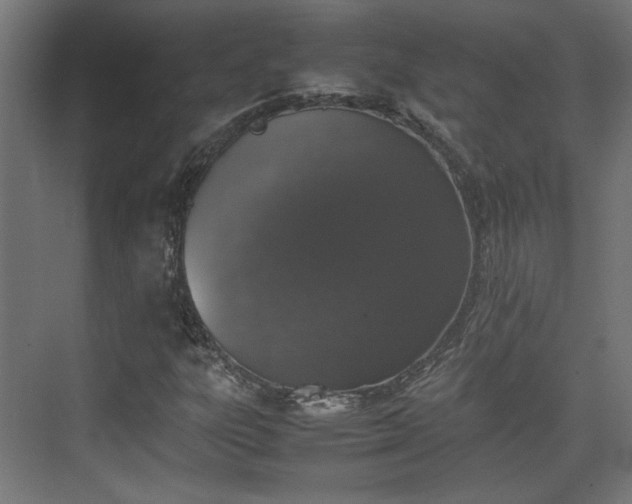 X0000074971303200609081401