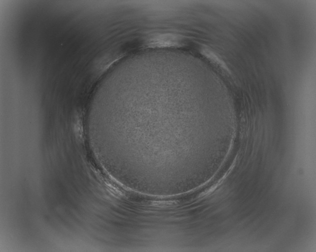 X0000074971305200609081401